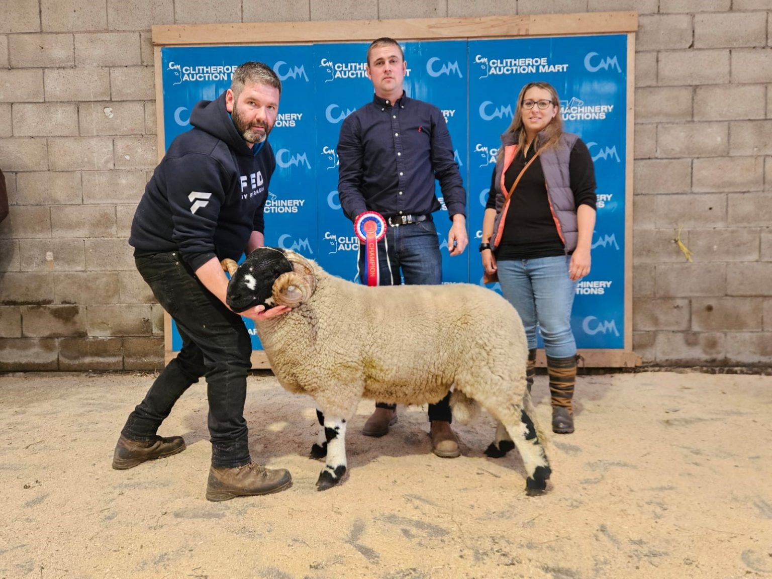 Show & Sale of Registered Lonk Sheep at Clitheroe - Champion Shearling Tup from Eddie and Peter Howard