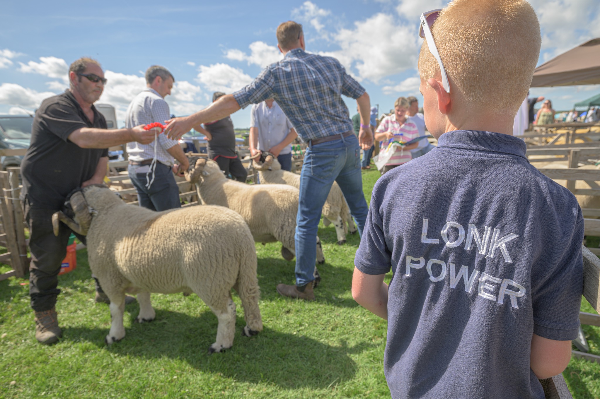 Lonk Sheep Breeders' Association