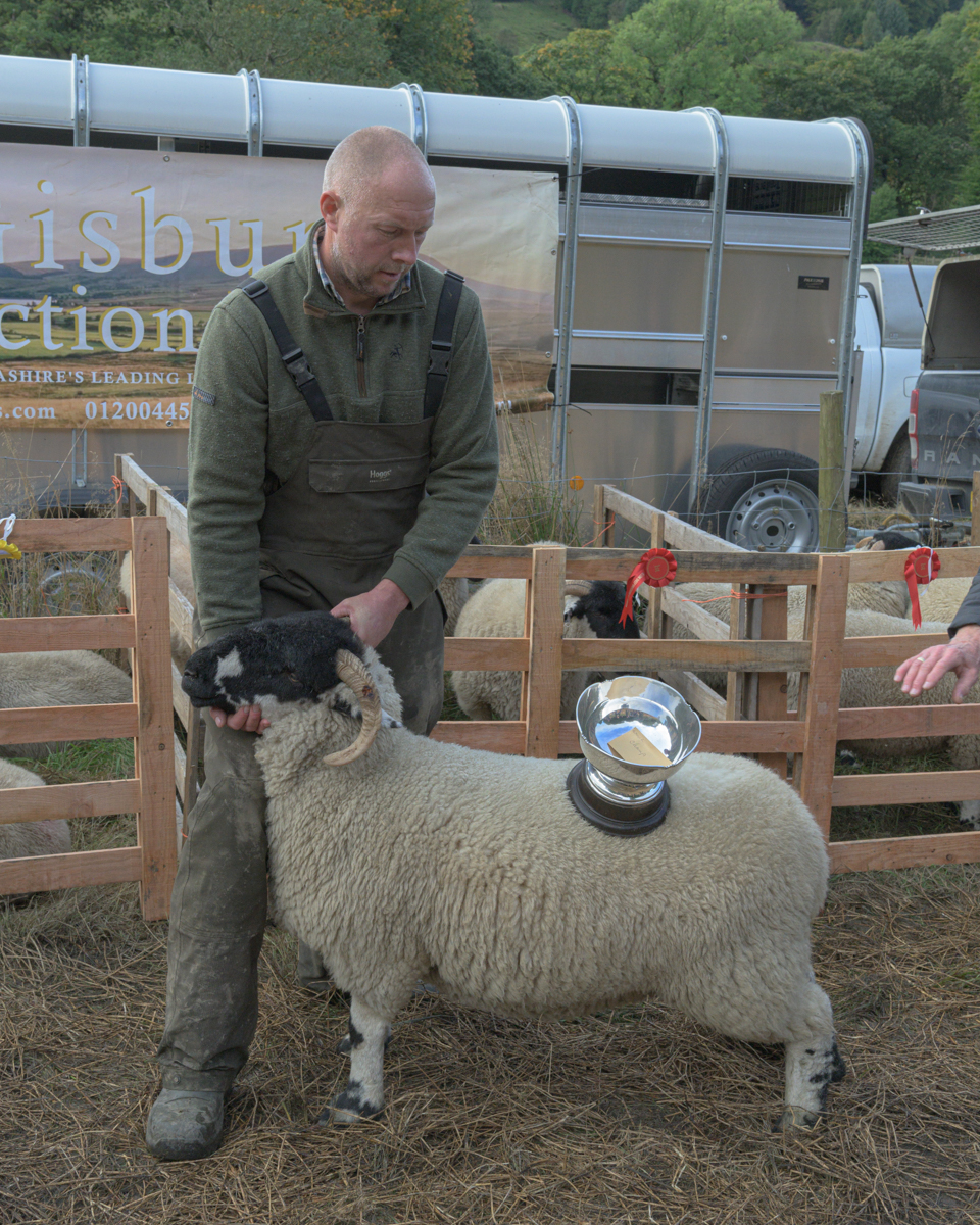 lonk sheep breeders home show 2024