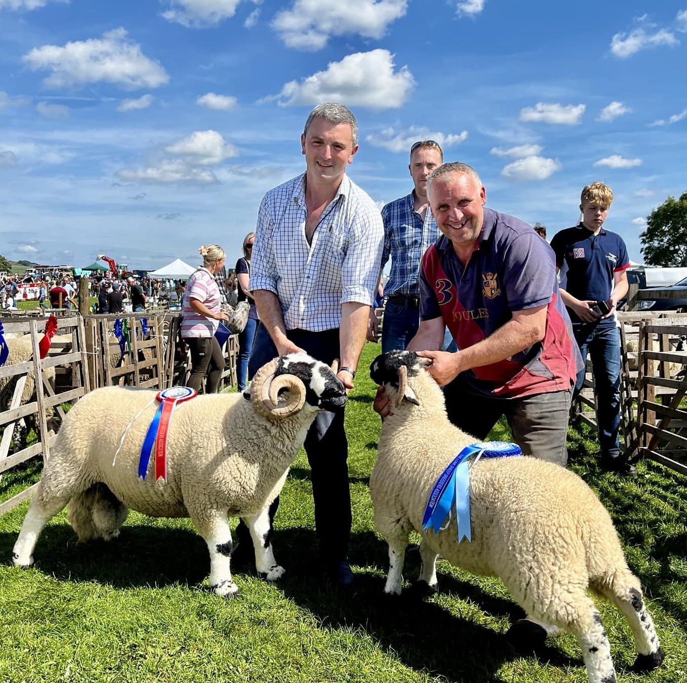 Lonk Sheep Trawden Show 2024