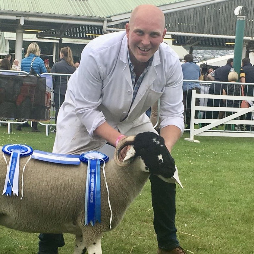 lonk sheep breeder's association committee