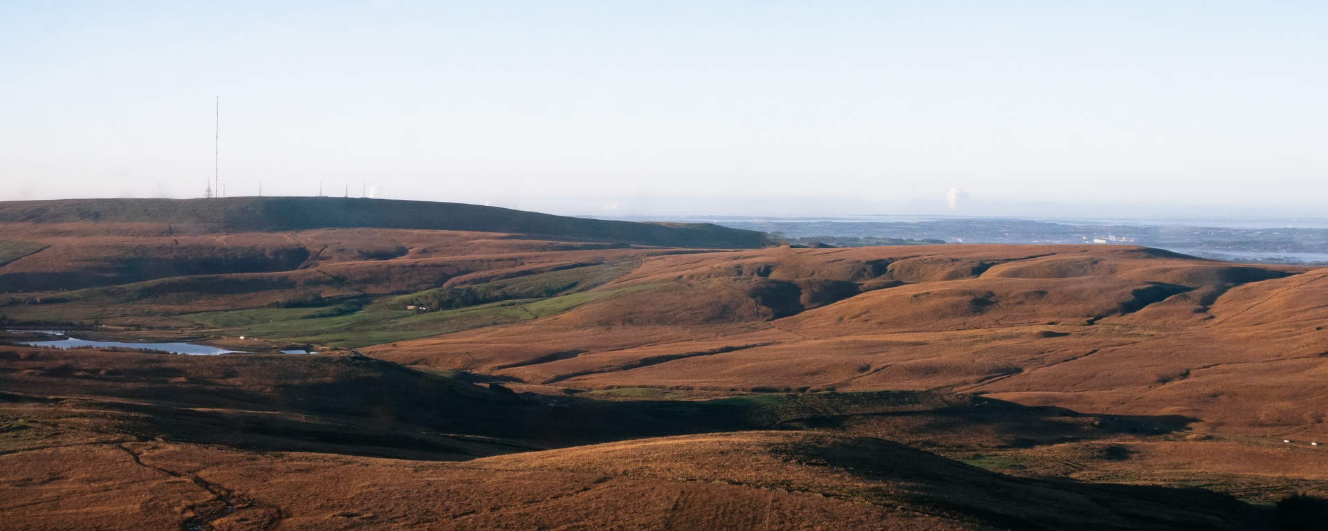 Native Breed Sheep for Environmental Schemes